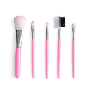 Compact and Portable 5Pcs Mini Makeup Brush Set